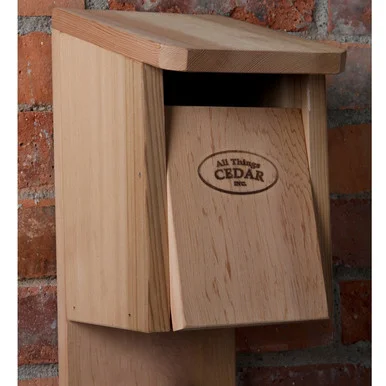 Large Cedar Birdhouse Kit